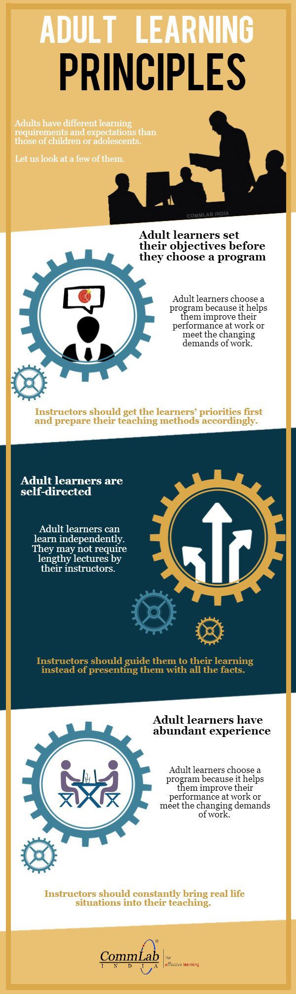 Adult Learning Principles Infographic E Learning Infographics