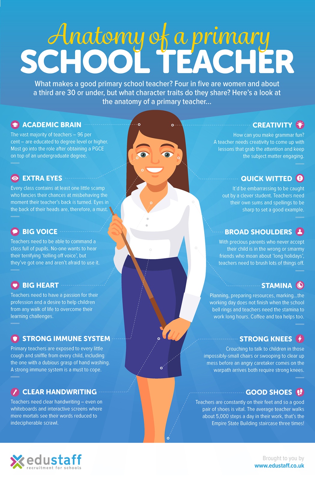 The Anatomy of a Primary School Teacher Infographic - e-Learning