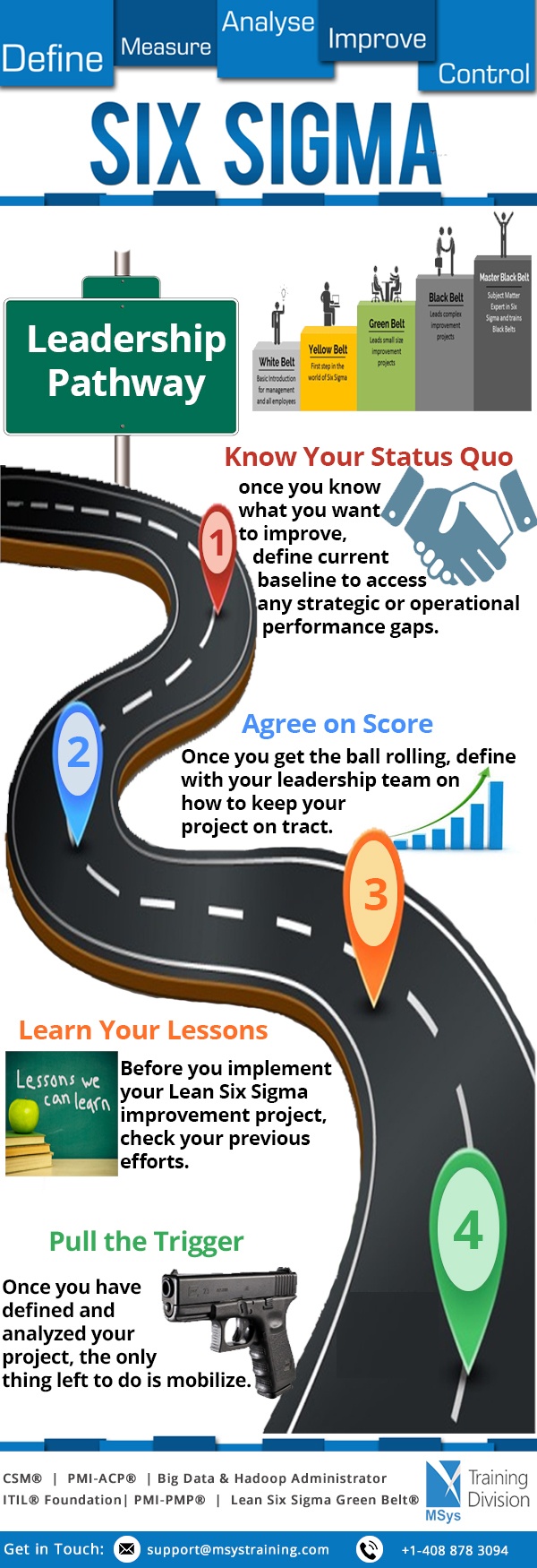 Six Sigma Leadership Pathway Infographic E Learning Infographics