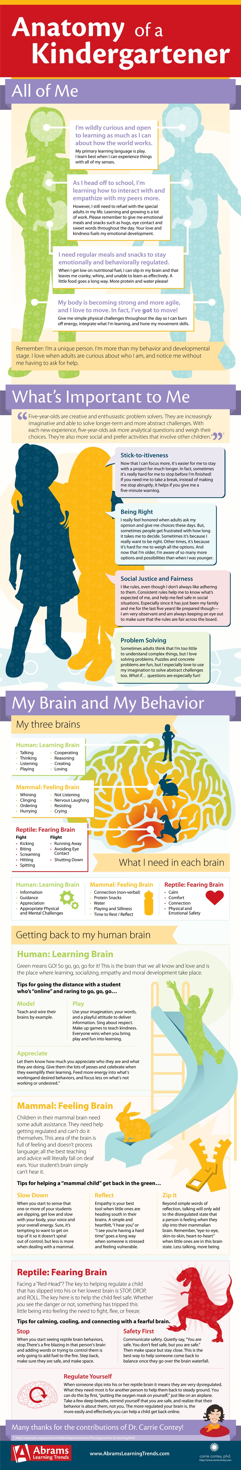 The Anatomy of a Kindergartner Infographic