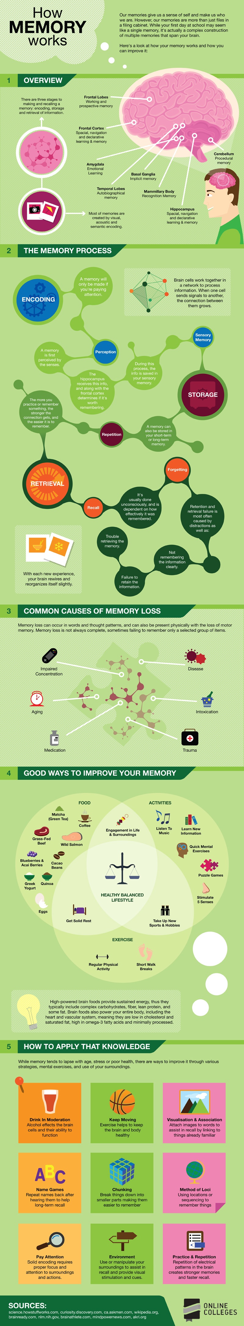 How Memory Works Infographic - e-Learning Infographics